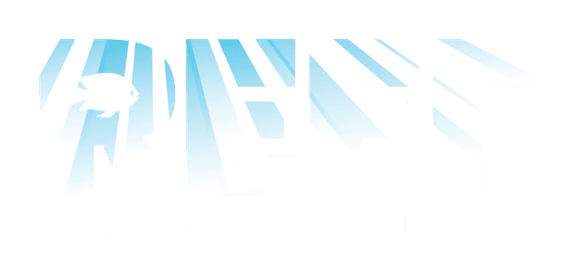 REEF — Reef Environmental Education Foundation